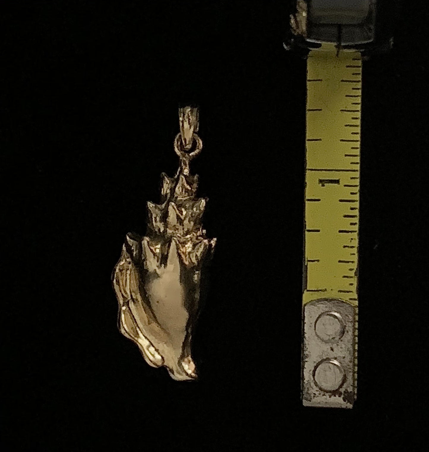 Conch Shell - Smooth Large