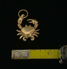 Load image into Gallery viewer, Crab Pendant - Small
