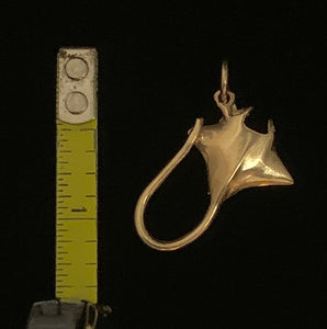 Manta Ray - Small