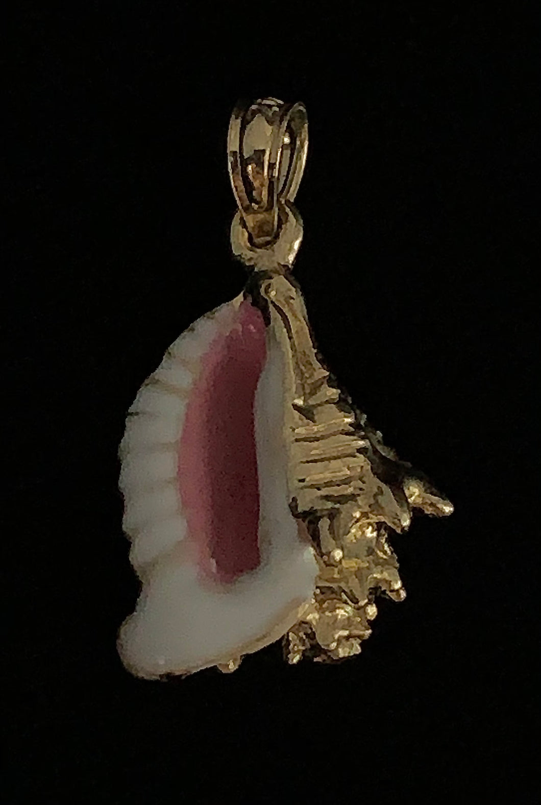 Conch Shell Pendant - Ridged