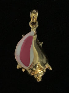 Conch Shell - Smooth Small
