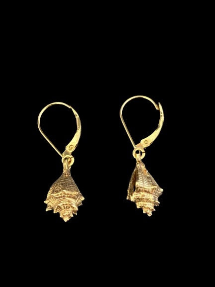 Gold Conch Shell Earrings (small)