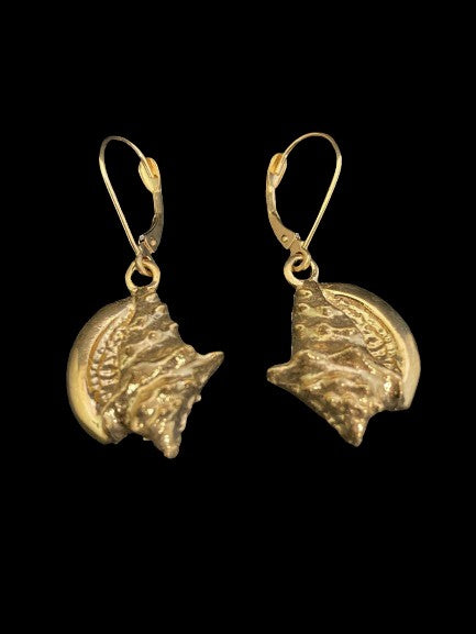 Gold Conch Shell Earrings (large)
