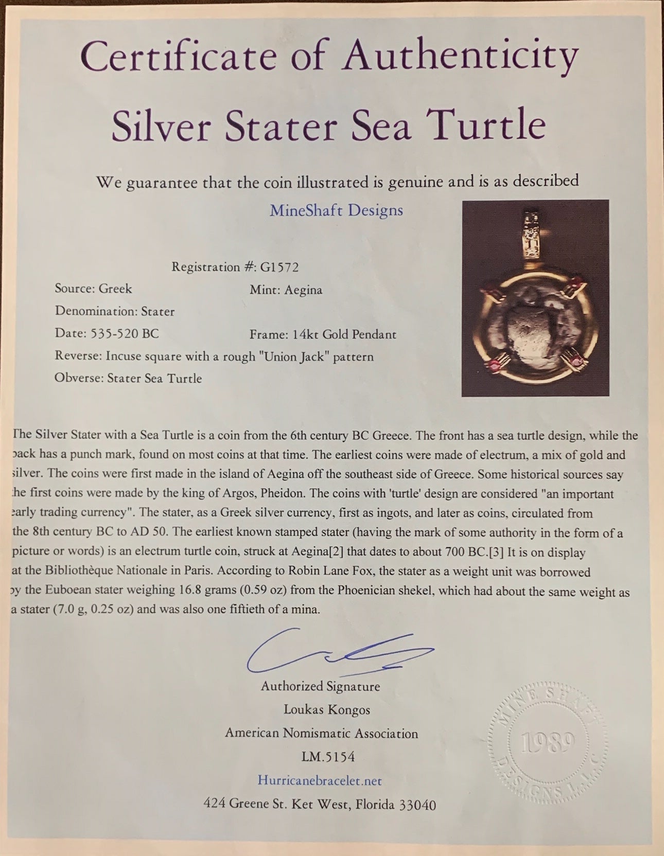 Silver Stater Sea Turtle
